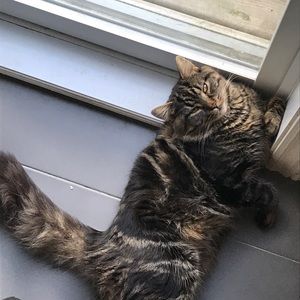 Meet your Posher, Mark